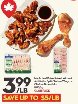 Longo's Maple Leaf Prime Raised Without Antibiotics Split Chicken Wings or Chicken Drumsticks offer