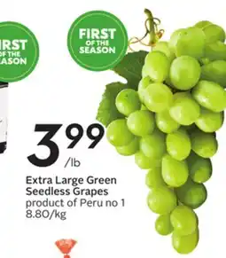 Sobeys Extra Large Green Seedless Grapes offer