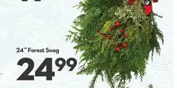 Longo's 24˝ Forest Swag offer