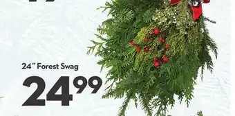 Longo's 24˝ Forest Swag offer