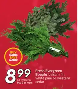 Sobeys Fresh Evergreen Boughs offer