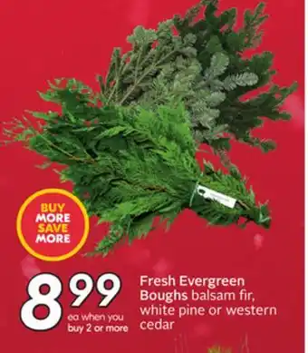 Sobeys Fresh Evergreen Boughs offer