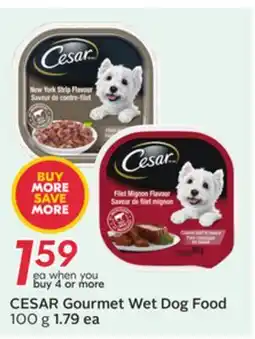 Sobeys CESAR Gourmet Wet Dog Food offer