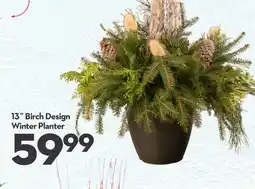 Longo's 13˝ Birch Design Winter Planter offer