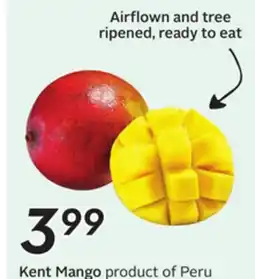 Sobeys Kent Mango offer