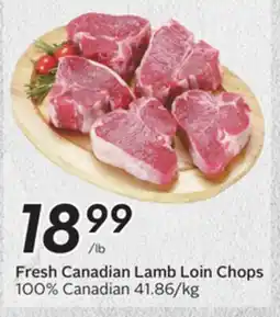 Sobeys Fresh Canadian Lamb Loin Chops offer