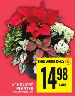 Food Basics 8 HOLIDAY PLANTER offer