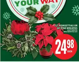Food Basics 12 POINSETTIAS OR 24 PINE WREATHS offer