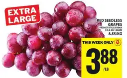 Food Basics RED SEEDLESS GRAPES offer