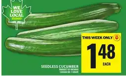 Food Basics SEEDLESS CUCUMBER offer