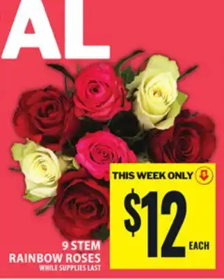 Food Basics 9 STEM RAINBOW ROSES offer