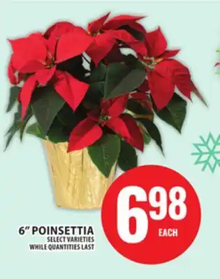 Food Basics 6 POINSETTIA offer