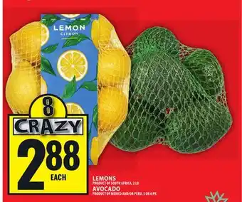 Food Basics LEMONS PRODUCT OF SOUTH AFRICA, 2 LB AVOCADO PRODUCT OF MEXICO AND/OR PERU, 5 OR 6 PK offer