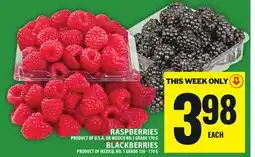 Food Basics RASPBERRIES, BLACKBERRIES offer