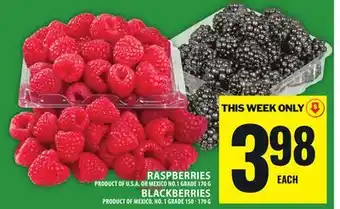 Food Basics RASPBERRIES, BLACKBERRIES offer