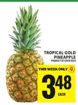 Food Basics TROPICAL GOLD PINEAPPLE offer