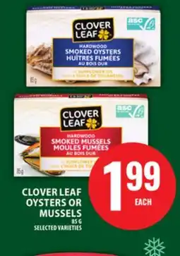 Food Basics CLOVER LEAF OYSTERS OR MUSSELS offer