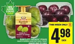 Food Basics BARTLETT OR BOSC PEARS OR ANGELINO PLUMS offer
