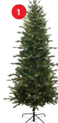 Home Hardware 7' Winwood Slim Fir offer