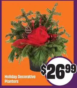 Chalo FreshCo Holiday Decorative Planters offer