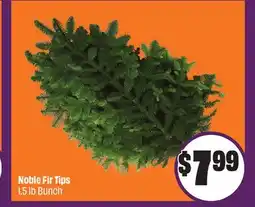 Chalo FreshCo Noble Fir Tips 1.5 lb Bunch offer