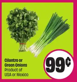 Chalo FreshCo Cilantro or Green Onions Product of USA or Mexico offer