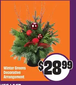 Chalo FreshCo Winter Greens Decorative Arrangement offer