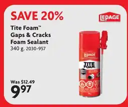 Home Hardware Gaps & Cracks Foam Sealant offer