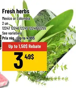 Mayrand Fresh herbs offer