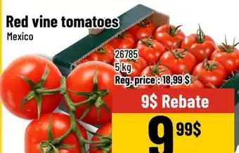 Mayrand Tomates rouges sur vigne offer