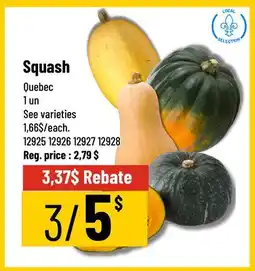 Mayrand Squash Quebec offer