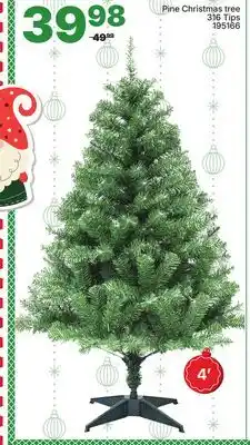 Rossy Pine Christmas tree offer