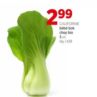 Avril bébé bok choy bio offer