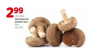 Avril champignons shitakés bios offer