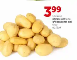 Avril pommes de terre grelots jaunes bios offer