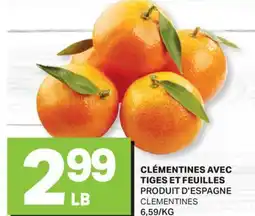 L'Intermarché CLÉMENTINES AVEC TIGES ET FEUILLES | CLEMENTINES offer