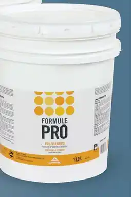 Canac Formule Pro Eggshell Interior Latex Paint Natural White & Colours 18.9 L offer