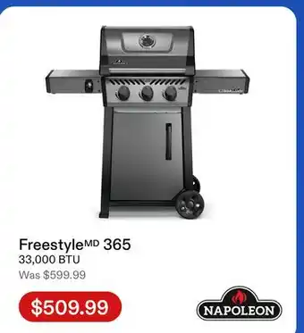 Club Piscine Napoleon - Freestyle 365 offer