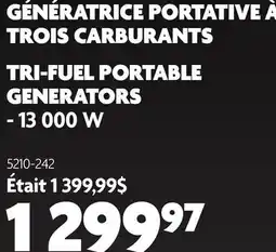 Home Hardware TRI-FUEL PORTABLE GENERATORS - 13 000 W offer