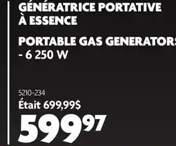 Home Hardware PORTABLE GAS GENERATORS - 6 250 W offer