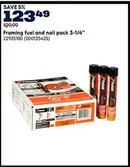 RONA Framing fuel and nail pack 3-1/4'' offer