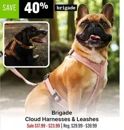 Ren’s Pets Depot Brigade Cloud Harnesses & Leashes offer