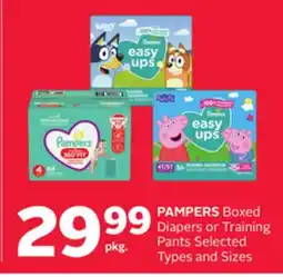 Rexall PAMPERS Boxed Diapers or Training Pants offer
