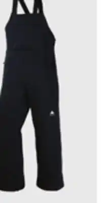 Sport Chek BURTON MEN'S RESERVE 2L INSULATED PANT offer