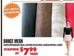 Len's Mill Stores DANCE MESH offer