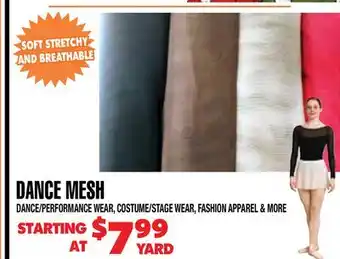 Len's Mill Stores DANCE MESH offer