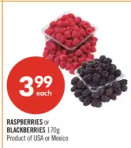 Shoppers Drug Mart RASPBERRIES or BLACKBERRIES 170g offer
