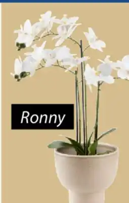 JYSK RONNY Plant pot offer