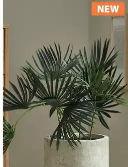 JYSK JAKOB Artificial plant offer