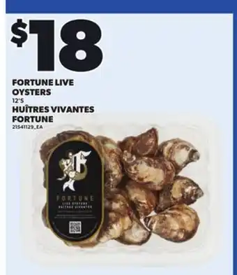 Independent City Market FORTUNE LIVE OYSTERS, 12'S offer